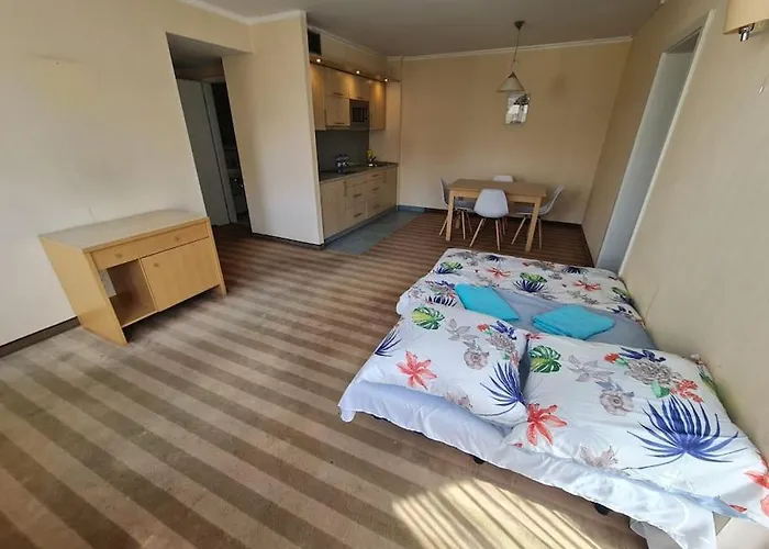 10Q - Z6 Apartment 401